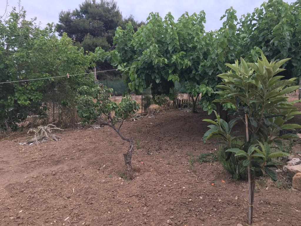 לינה וארוחת בוקר ריאלמונטה La Bianca Scogliera מראה חיצוני תמונה